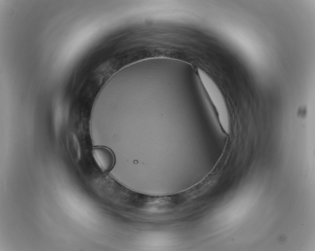 X0000091580382200709101024