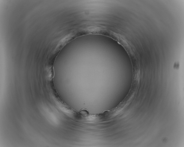 X0000091580383200709101024