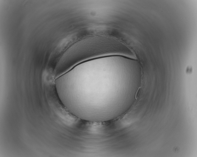 X0000091580384200709101024