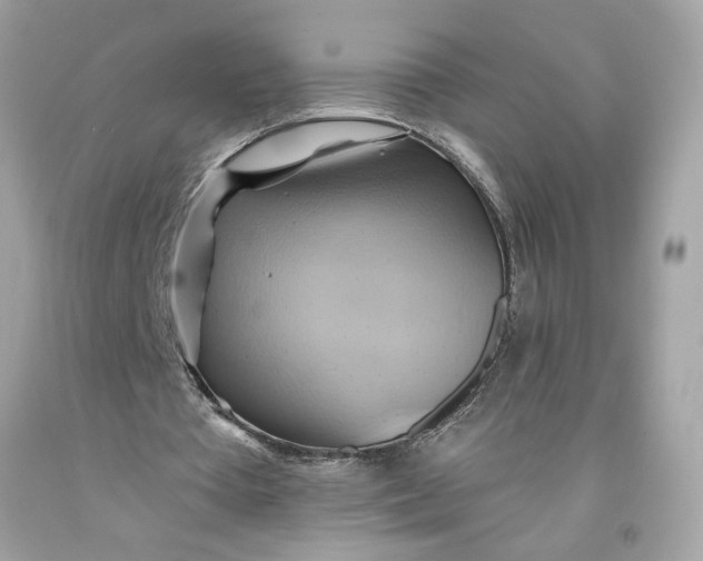 X0000091580385200709101023