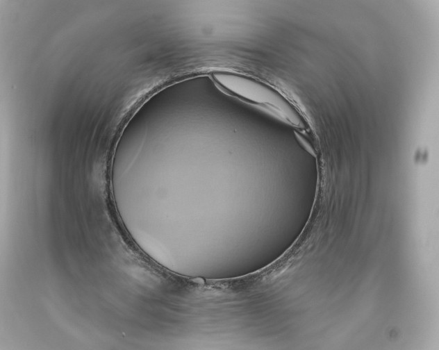 X0000091580386200709101023