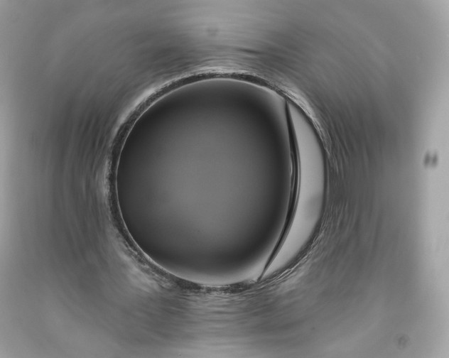 X0000091580387200709101023