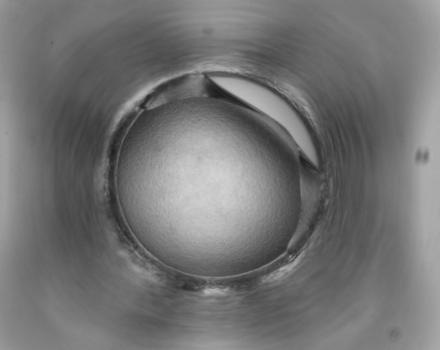 X0000091580388200709101023