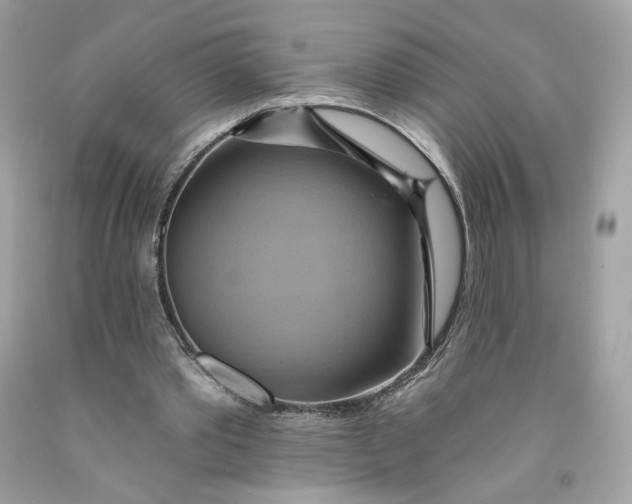 X0000091580389200709101023