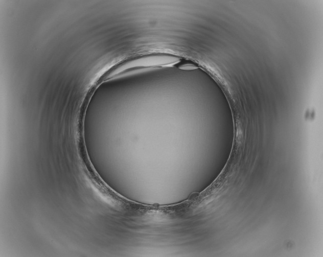 X0000091580390200709101023