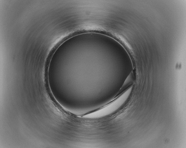 X0000091580391200709101023