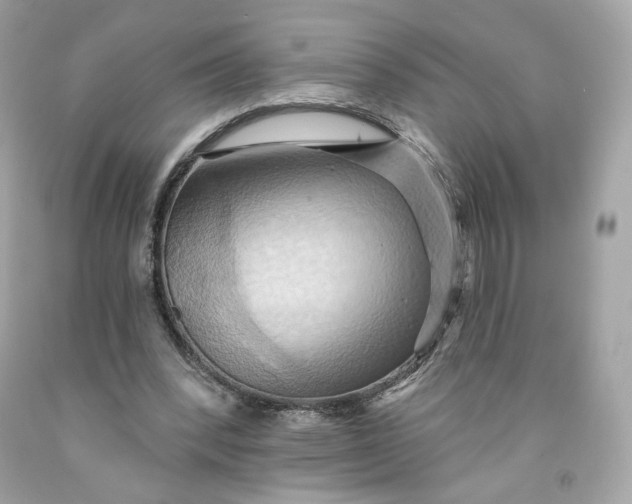 X0000091580392200709101023