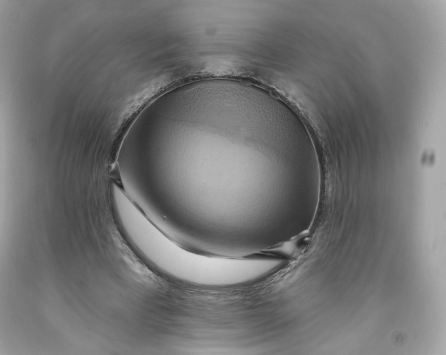 X0000091580393200709101023