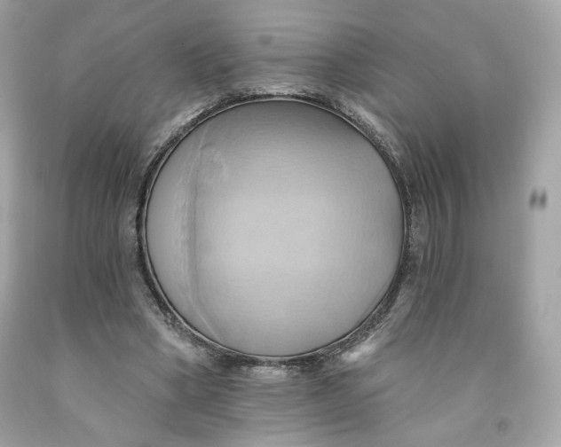 X0000091580394200709101023