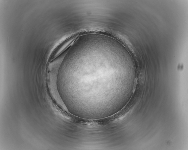 X0000091580395200709101023