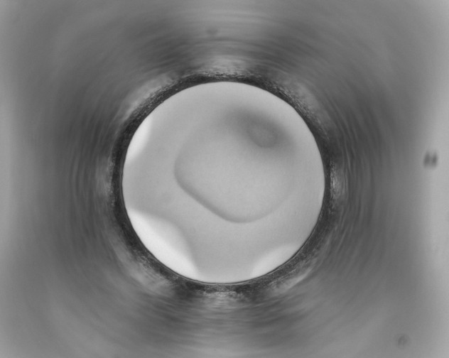 X0000091580396200709101023