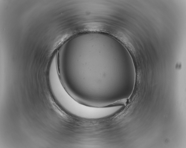 X0000091580397200709101023