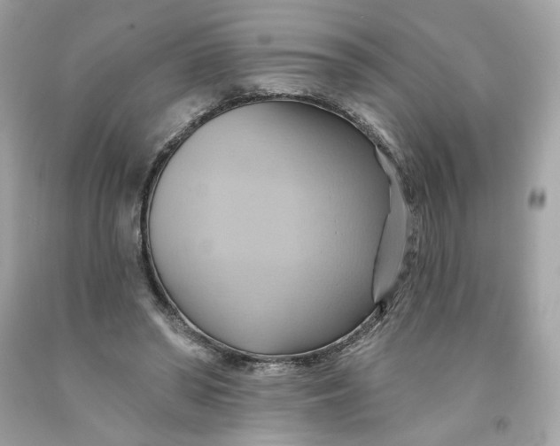 X0000091580398200709101023