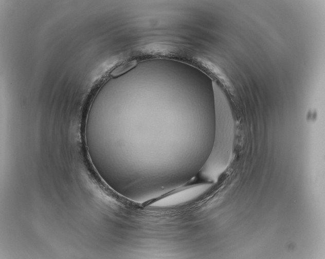 X0000091580399200709101023