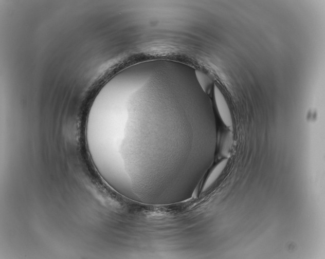 X0000091580400200709101023