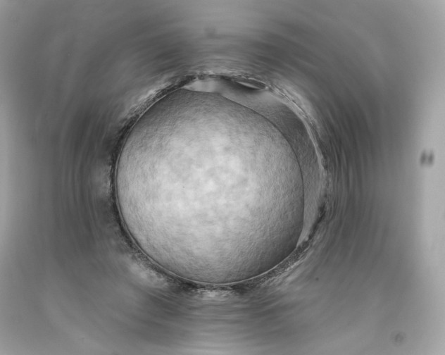 X0000091580401200709101023