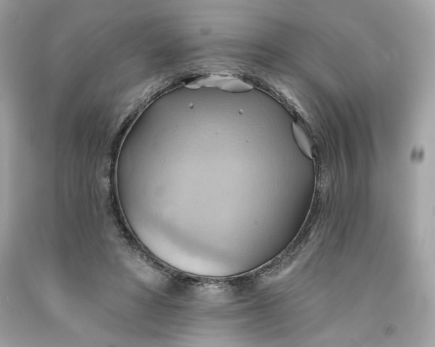 X0000091580402200709101023