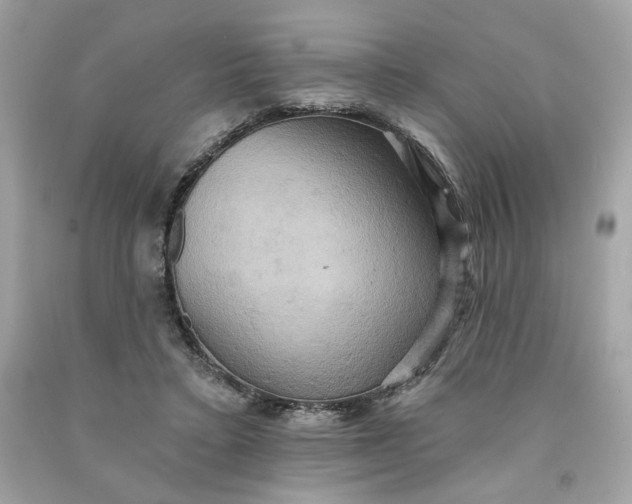 X0000091580403200709101023