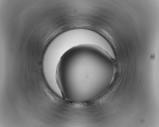 X0000091580405200709101023