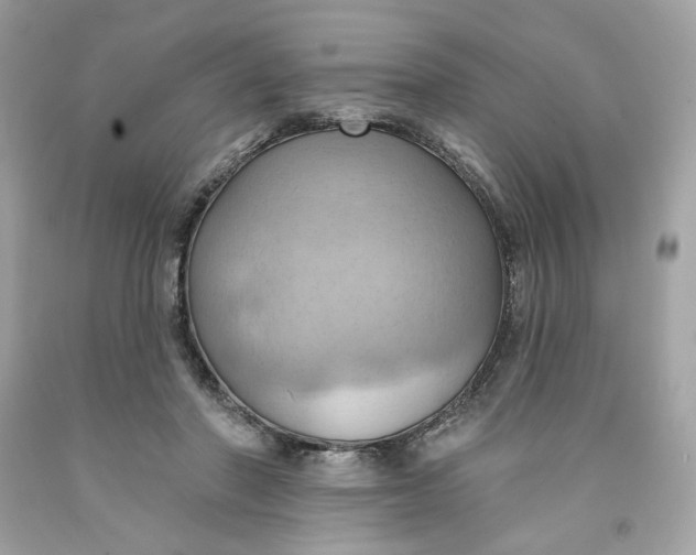 X0000091580406200709101023