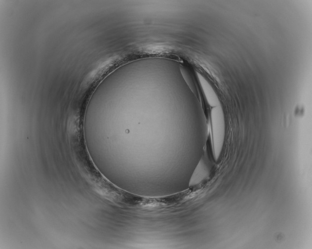 X0000091580407200709101023