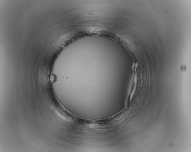 X0000091580408200709101023