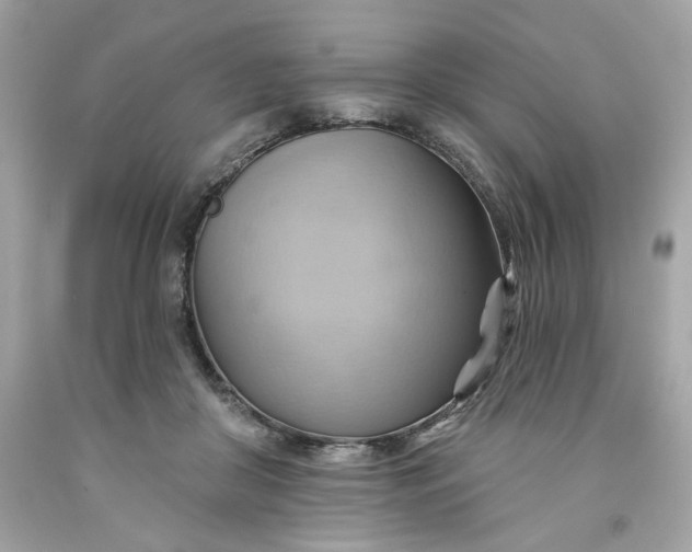 X0000091580410200709101023