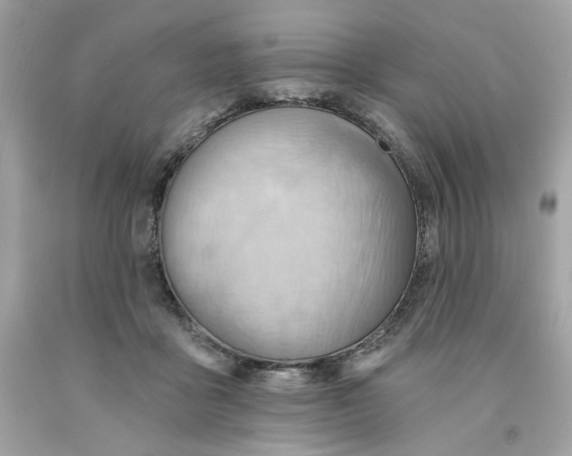 X0000091580411200709101023