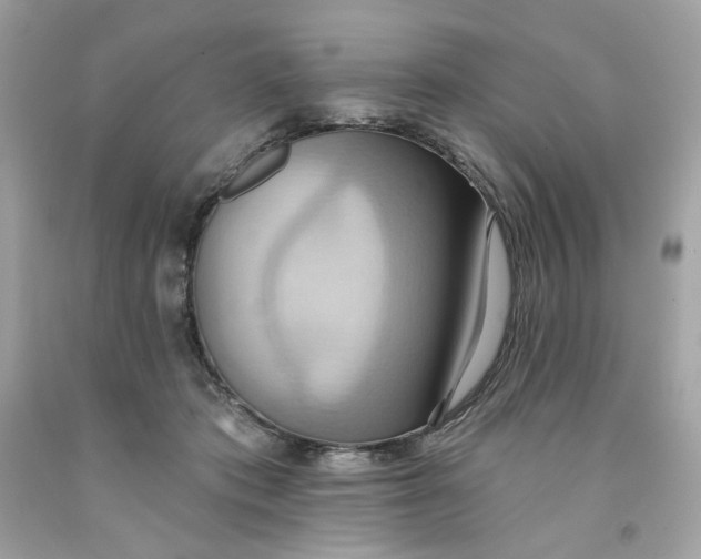 X0000091580413200709101023