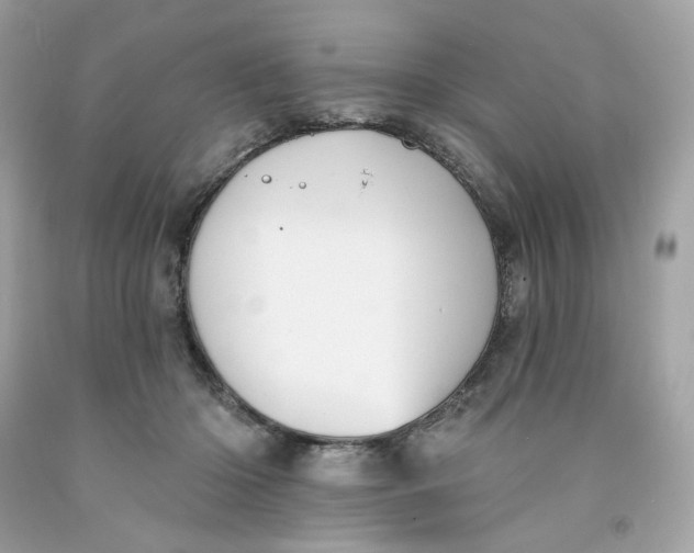 X0000091580414200709101023