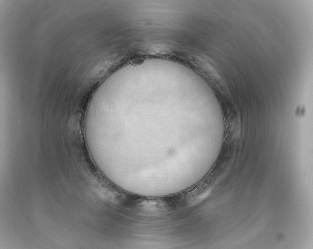 X0000091580415200709101023