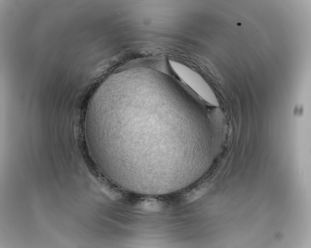 X0000091580416200709101023