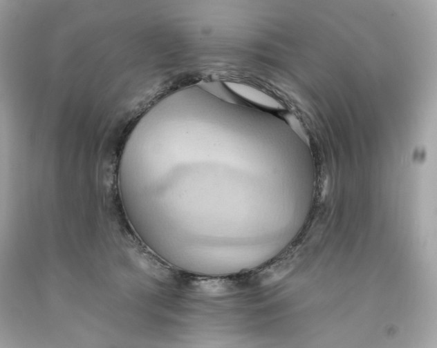 X0000091580417200709101023