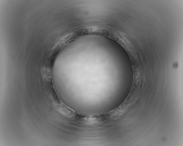 X0000091580419200709101023