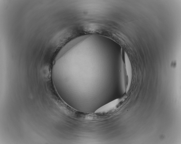 X0000091580420200709101023