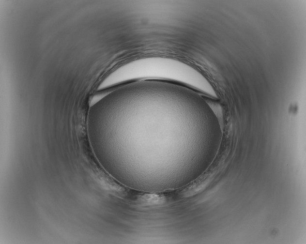 X0000091580421200709101023