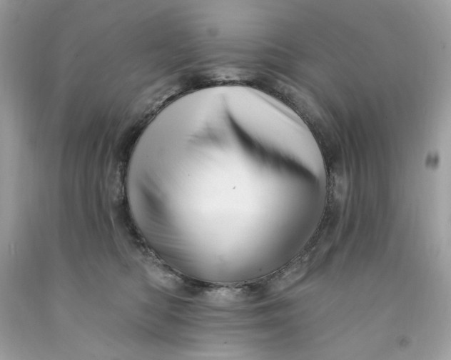 X0000091580422200709101023