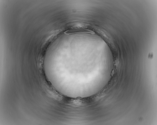 X0000091580423200709101023