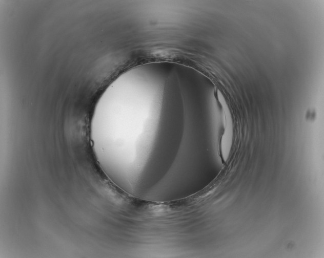 X0000091580424200709101023