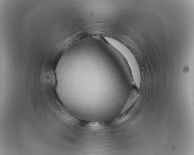 X0000091580425200709101023