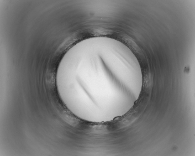 X0000091580426200709101023