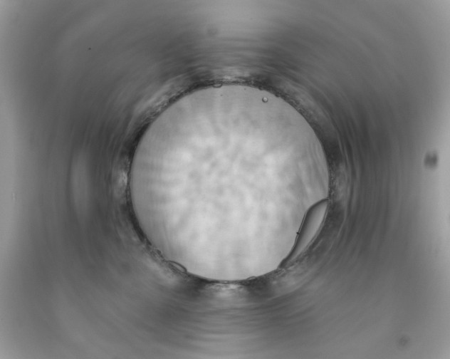 X0000091580427200709101023