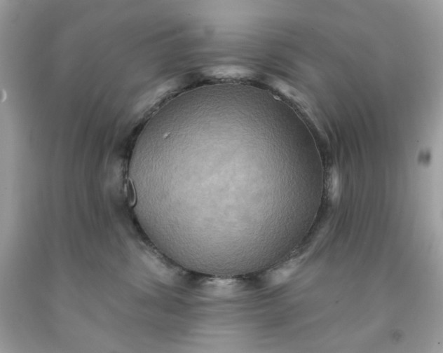 X0000091580428200709101023