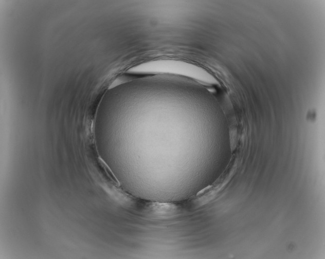 X0000091580429200709101023