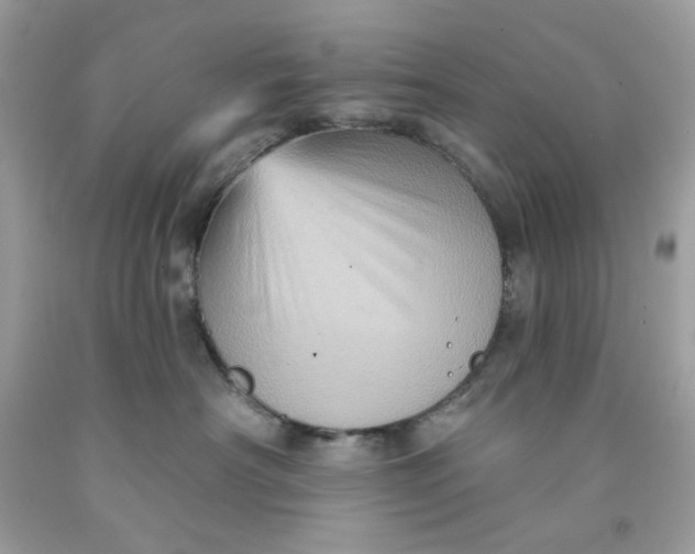 X0000091580430200709101023