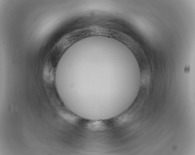 X0000091580431200709101023