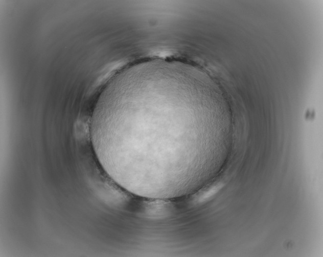 X0000091580432200709101023