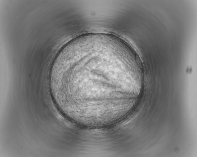 X0000091580433200709101022