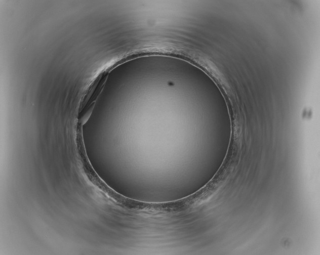 X0000091580434200709101022