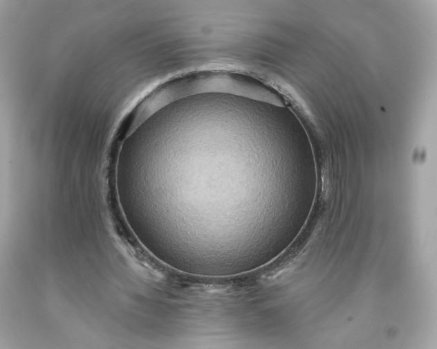 X0000091580436200709101022